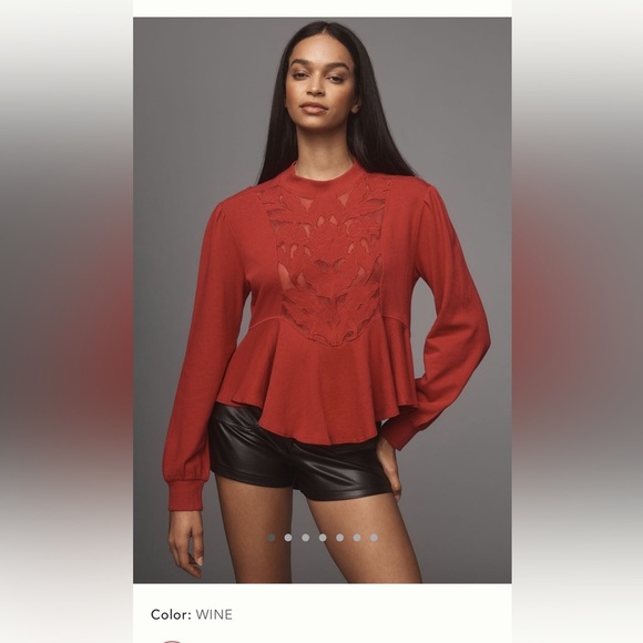 Anthropologie Tops - NWT new medium Anthropologie cutwork swing top red pink wine long sleeve lace
